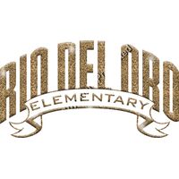 GLT37 GOLD GLITTER Thumbnail